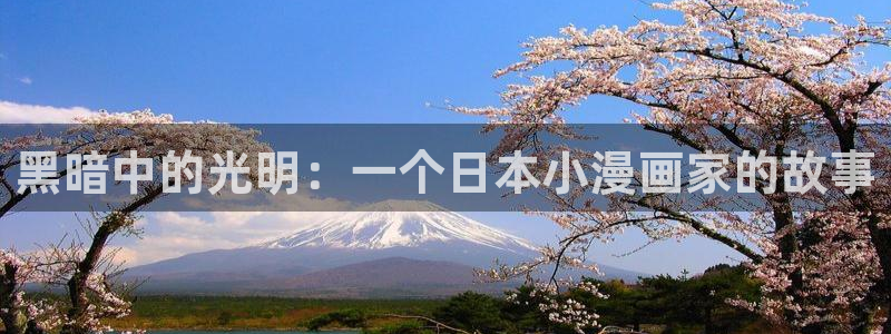 雪豹喜欢咬尾巴漫画下拉式：黑暗中的光明：一个日本小漫画家的故事